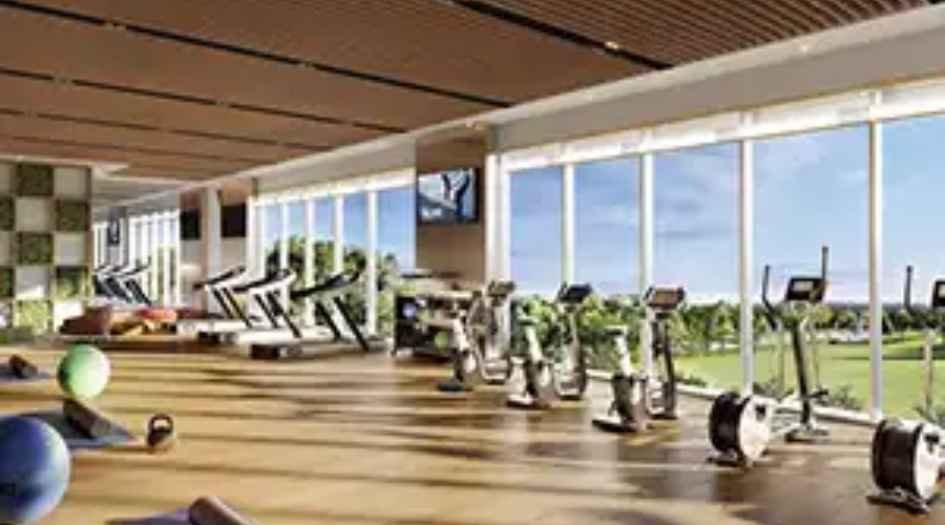 Wadhwa-Artek-Park-gym