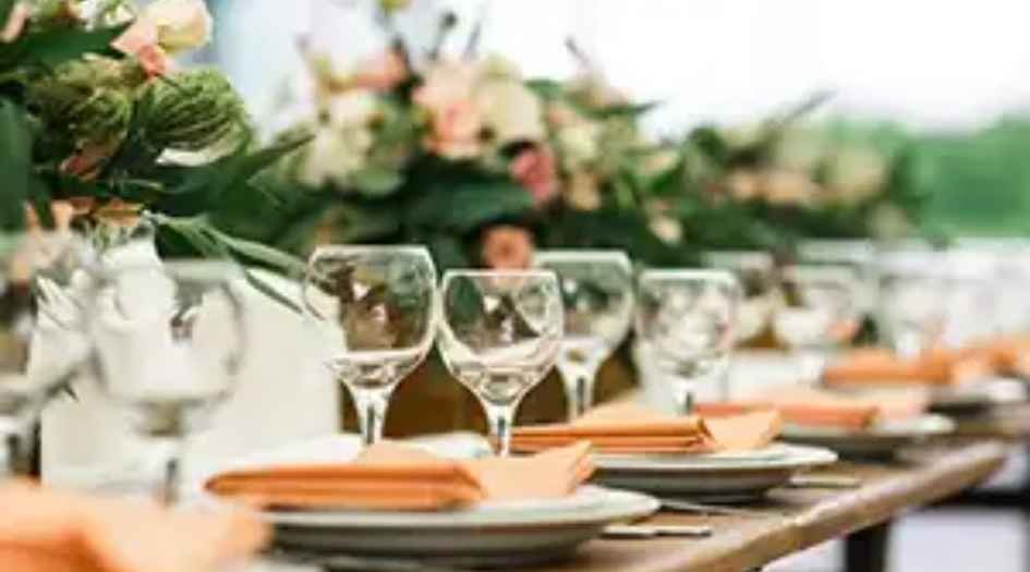 Wadhwa-Artek-Park-party-lawn